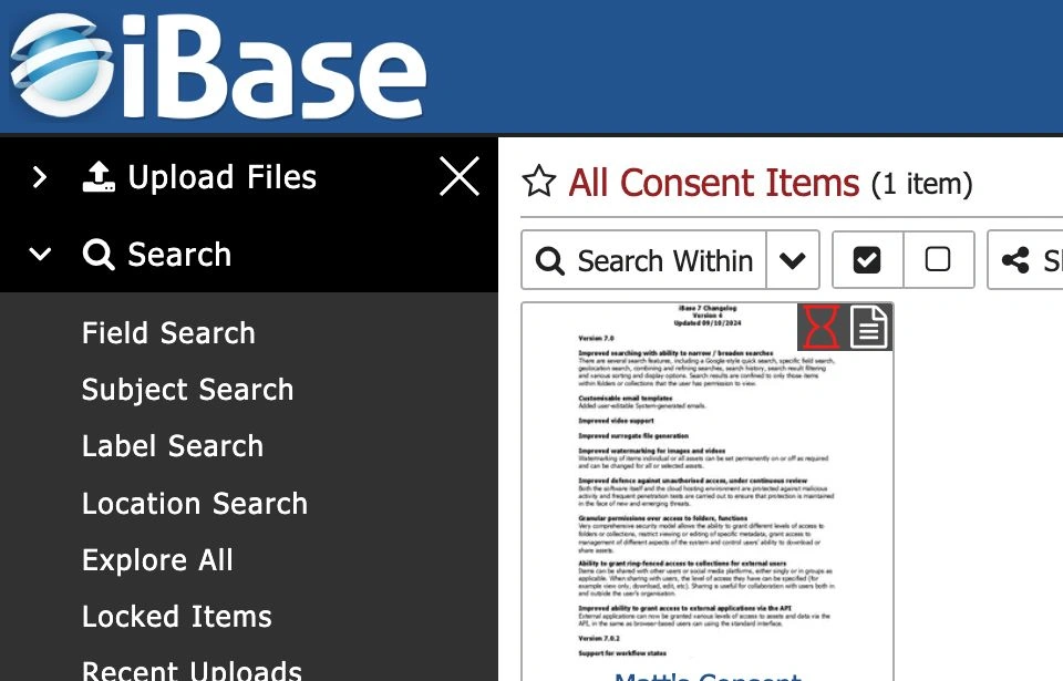 iBase consent items list showing consent records and result-list controls
