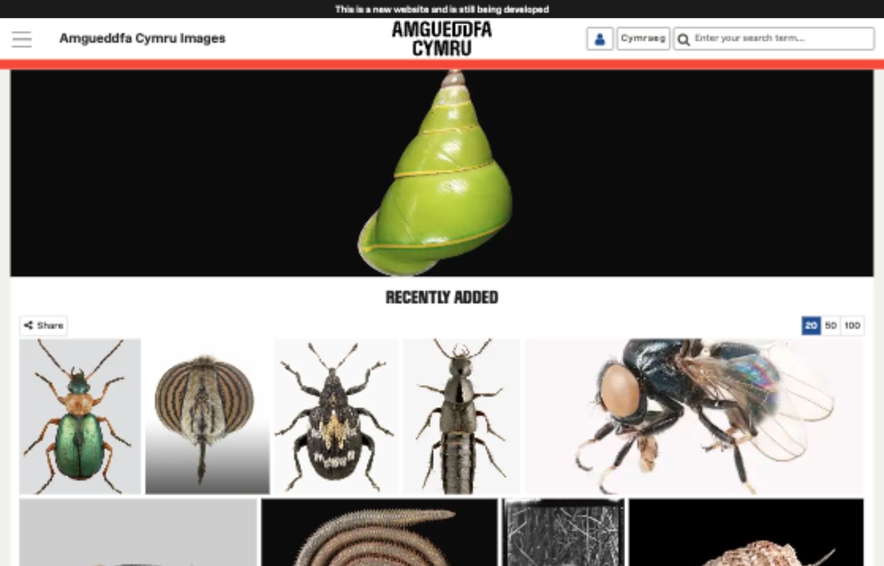 Amgueddfa Cymru Images collection browse page