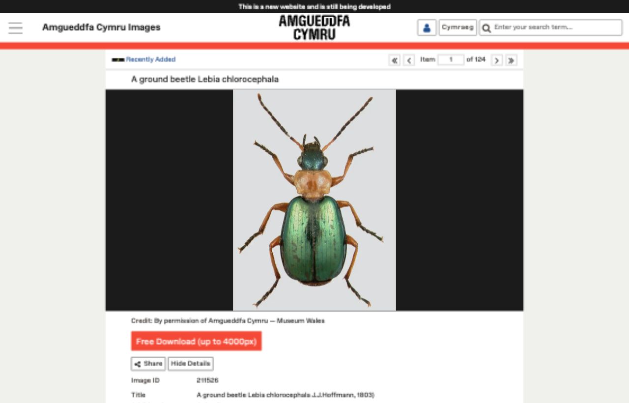 Amgueddfa Cymru Images item page with collection object detail